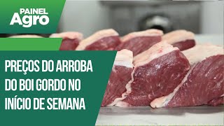 Confira os preços do arroba do boi gordo neste início de semana [upl. by Adaline]