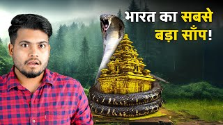 INSANE Discovery in India Worlds Giant Snake Found in Guajarat [upl. by Nichol878]