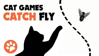 CAT GAMES ★ CATCH FLY ON THE SCREEN for cats [upl. by Farmann208]