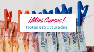 Curso Notas Estructuradas [upl. by Lenes982]