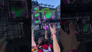 levity festival goodvibes musicfestival 2024 rave viralvideo [upl. by Neukam877]