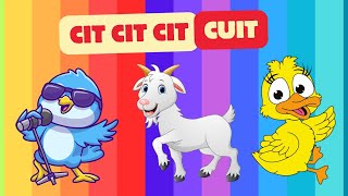 Lagu Anak CIT CIT CUIT  Popular Song for Kids [upl. by Ecnarepmet]