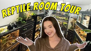 REPTILE ROOM TOUR  Snakes Lizards Spiders amp More [upl. by Budge]