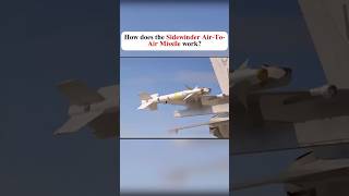 How does the Sidewinder Air to Air Missile Work fyp fypシ゚ [upl. by Suriaj]