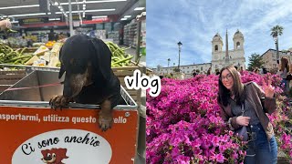 Italian vlog una passeggiata in centro al supermercato un pranzo al mare a Ostia Subtitles [upl. by Laup]