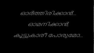 Kanninnullil Nee Kanmani Video Lyrics [upl. by Anihsit]