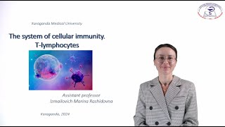 The system of cellular immunity Tlymphocytes [upl. by Goggin]