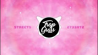 Doja Cat  Streets Bass Boosted TikTok [upl. by Loise23]