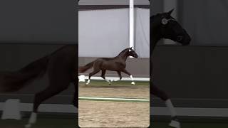 The first one hit every beat 😍😍 fjordigang fjordhorse equestrian ponyedit equestrian riding [upl. by Romain]