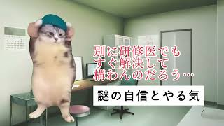 初期研修医あるある 内科外来編 猫ミーム 猫マニ 研修医 医者あるある [upl. by Ellekcir]