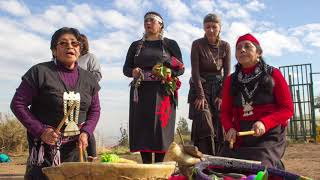 WE TRIPANTU Año Nuevo Mapuche del 21 al 24 de Junio [upl. by Morley536]