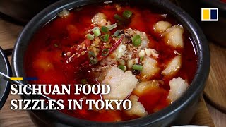 Authentic Sichuan cuisine from China makes its way to Tokyo’s food scene [upl. by Stedt374]