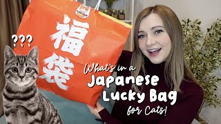 Whats Inside a Japanese LUCKY BAG for CATS [upl. by Collar]