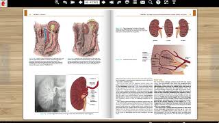 CAMPBELLWALSH Urology Tenth Edition [upl. by Sung]