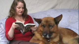 Wonder Dogs 101 German Shepherd Dog Films  book trailer [upl. by Hahsi]