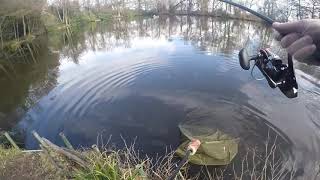 using a baiting pole for carp [upl. by Holds]