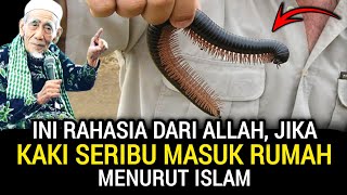 HARUS WASPADA‼️10 PERTANDA JIKA KAKI SERIBU MASUK RUMAH ANDA MENURUT ISLAM [upl. by Ianteen283]