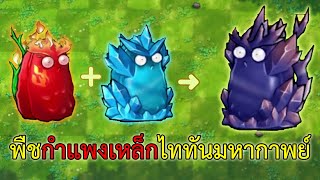 ถั่ว obsidian สุด OP Plant vs Zombie Fusion Mod [upl. by Delija153]