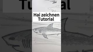 Hai Zeichnen Tutorial  Lass uns gemeinsam zeichnen zeichnen zeichenidee zeichnenlernen [upl. by Arnulfo]