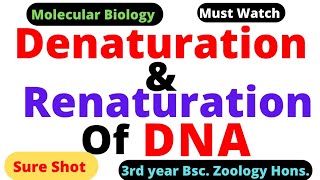 Denaturation and Renaturation of DNA ll Melting Temperature Tm ll DNA denaturation [upl. by Yraunaj358]