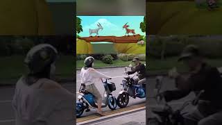 reminded of goat story today on road goats funny hilarious shorts viralvideo trending [upl. by Avram599]