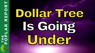 Dollar Tree  Half Empty All OVER The USA  Store Update [upl. by Dry]