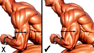 Best Workouts For Bicep and Tricep to Get Wide Insane Arms [upl. by Ronn]