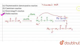 What is the name of the following reaction PhCHO  CH2CO2O [upl. by Lombardo]