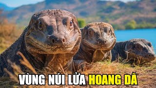 Thiên Nhiên Hoang Dã Indonesia  Khám Phá Thế Giới Động Vật Hoang Dã [upl. by Herstein]