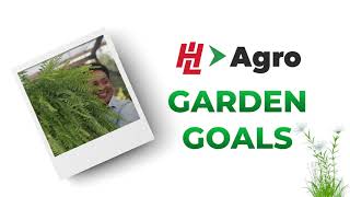 HampL Agro Garden Goals Featuring Sharon ChinTai [upl. by Aciraa769]