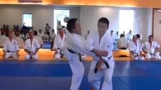 Goshin Ho 6th Dan 4  Tetsuya Sensei amp Fujimoto Sensei [upl. by Perot]