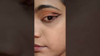 Graphic eyeliner tutorial 💞 song bollywood carenikarda punjabisong graphicdesign music [upl. by Ermine]