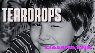 Liam Payne  Teardrops Letra  Lyric quotI am broken too quot [upl. by Eema]