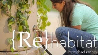 How to Make Your Own Rain Barrel  Buildipedia DIY [upl. by Ardith810]