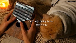 Cant Help Falling In Love Elvis Presley  Kalimba cover [upl. by Yltsew274]