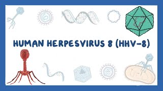 Human herpesvirus 8  Kaposi sarcoma  4 [upl. by Notsob91]