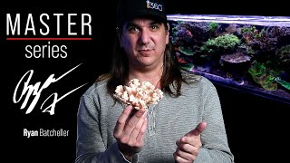 The REAL Truth Behind Nutrients in Our Reef Tanks  BRStv Master Series Nitrate amp Phosphate [upl. by Aisena]