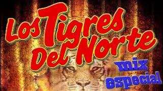 Las Más Románticas de Los Tigres Del Norte 20 EXITOS  Mejores artistas para escuchar 2024 [upl. by Yttak455]