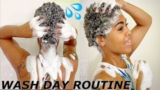 Wash Day Routine For My DRY TWA [upl. by Velma]