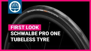 Road Tubeless FINALLY Comes of Age  New amp Redesigned Schwalbe Pro One Tyre [upl. by Eliam262]