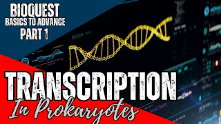 Transcription in Prokaryotes  Part 1  Transcription  CSIR NET December 2024  Basics to Advance [upl. by Eilliw]