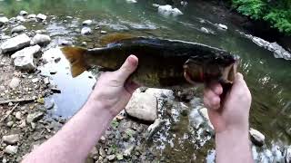 Scioto River and Big Darby Creek continued May 2023 Bass fishing Columbus Ohio [upl. by Atirres]