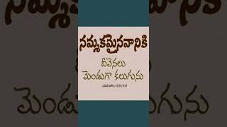 క్రిస్టియన్ తెలుగు సాంగ్స్ [upl. by Lajib]