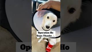 Operation Ho Gaya 🥹  minivlog [upl. by Walling74]