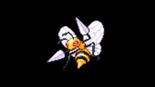 Pokémon  Beedrill Cry [upl. by Ajar190]