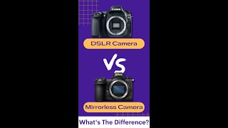 Mirrorless vs DSLR Cameras Whats The Difference [upl. by Rotsen390]