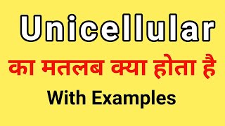 Unicellular Meaning in Hindi  Unicellular ka Matlab kya hota hai  Science Vocabulary Words [upl. by Valerio]