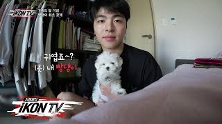 iKON  ‘자체제작 iKON TV’ EP71 [upl. by Bloch]