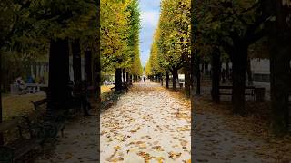 Salzburg Austria autumn feels differentaustria salzburg europe autumn love [upl. by Timoteo309]