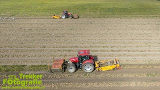 Uien rooien  De Graaf  2x Case IH  Samon  Harvesting Onions  Zwiebeln ernten [upl. by Akinak]